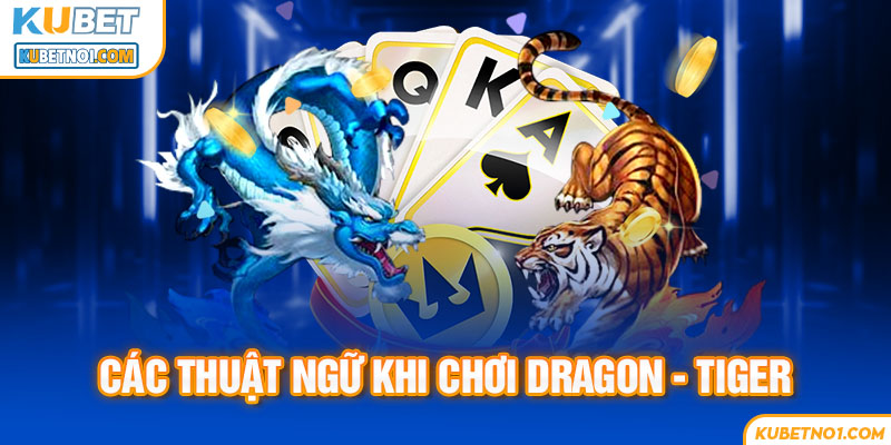 Rồng Hổ Kubet – Hướng Dẫn Cách Chơi, Mẹo Thắng Lớn Từ Cao Thủ 6 Thuật ngữ trong cá cược Rồng Hổ
